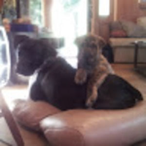 Meet your Posher, Ruth